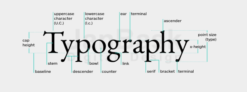 what is typography?