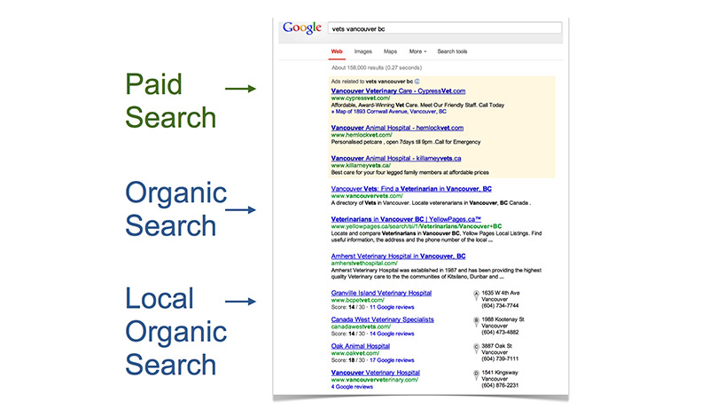 Paid searches & organic searches