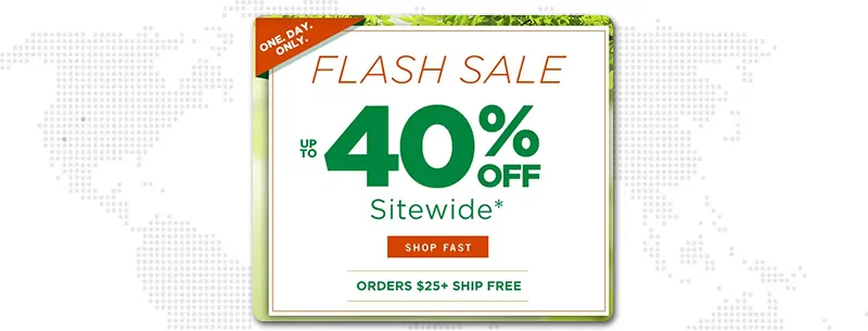 Extended Flash Sales