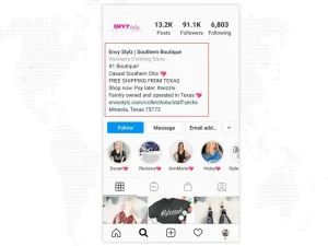 ENVY Stylz Boutique’s Instagram online shop 
