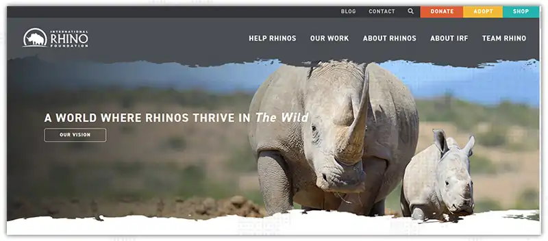 International Rhino Foundation