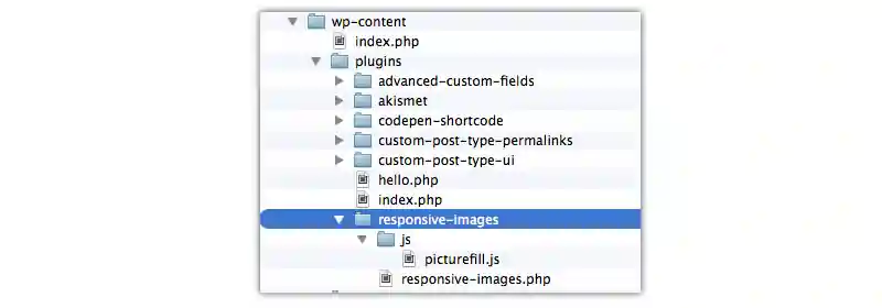 WordPress responsive images plugin solution