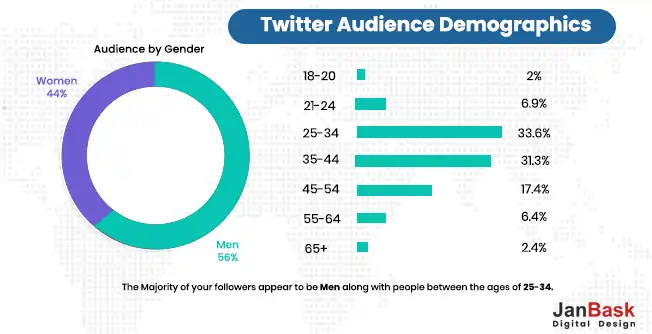 Twitter Audience Demographics