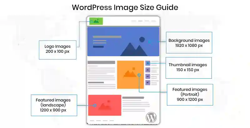 Worldpress image size guide