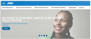 DMV Website
